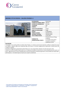 Icona